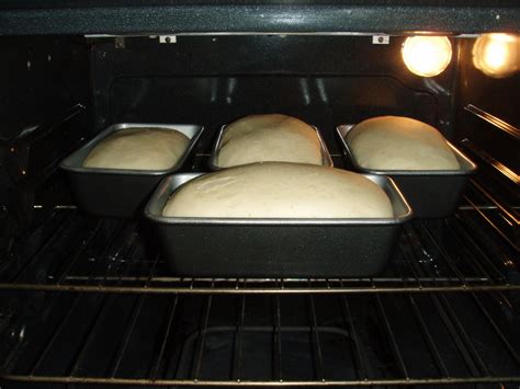 Is baking dough reversible?