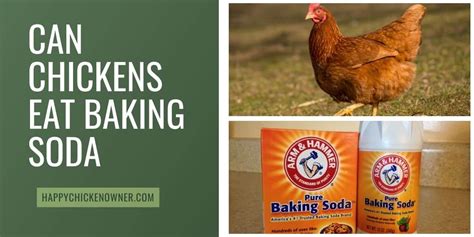 Is baking soda safe for chickens?