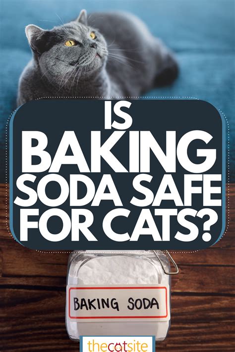 Is baking soda safe near cats?