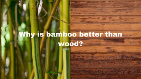Is bamboo cheaper than wood?