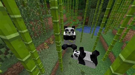 Is bamboo rare in Minecraft?