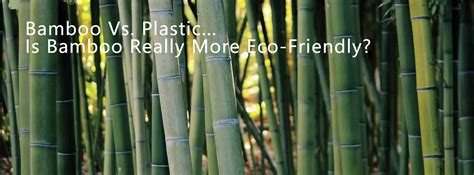 Is bamboo really better than plastic?