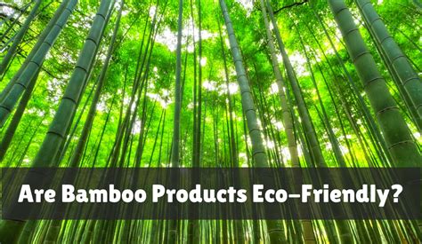 Is bamboo really environmentally friendly?