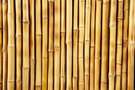 Is bamboo stronger than graphite?