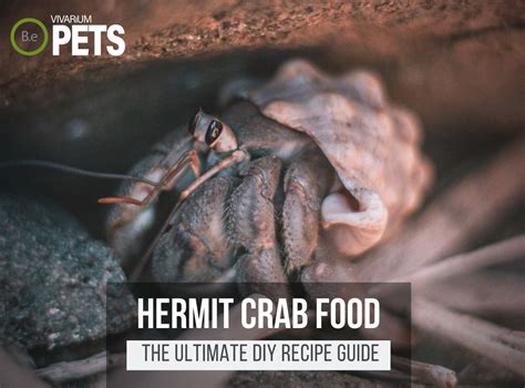 Is basil toxic to hermit crabs?