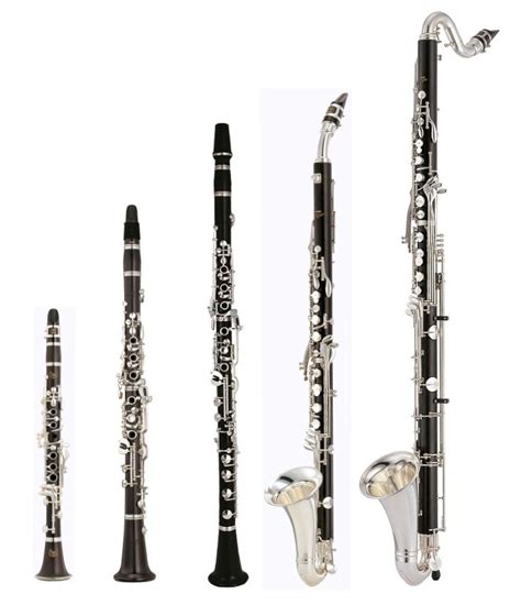 Is bass clarinet easier than B flat clarinet?