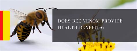 Is bee venom good for humans?