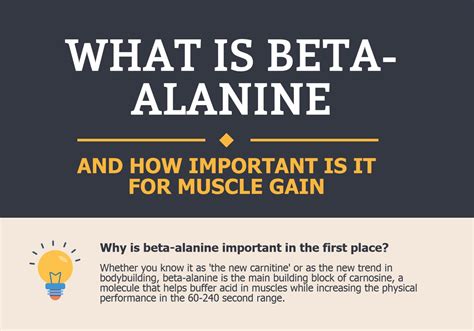Is beta-alanine bad for muscle growth?