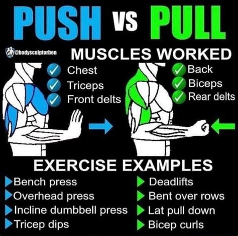 Is bicep pull or push?