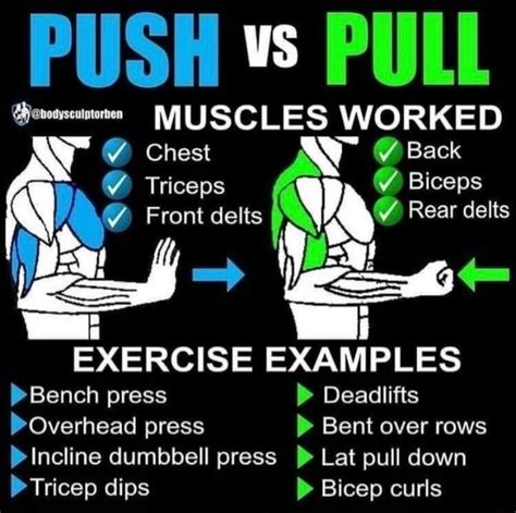 Is biceps push or pull?
