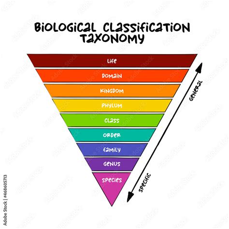 Is biology a genre?