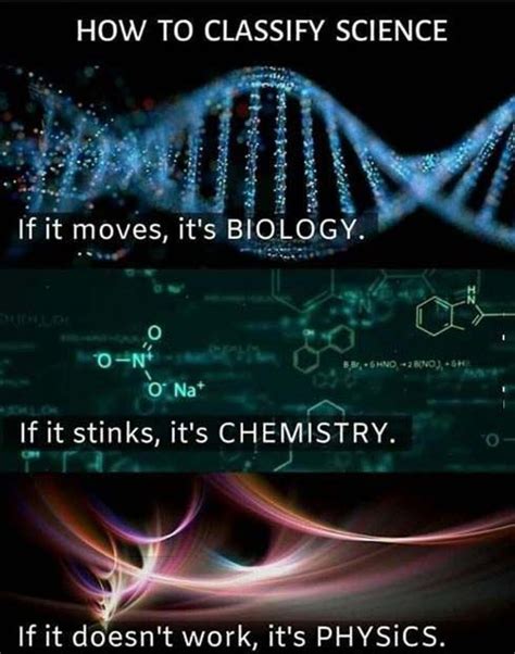 Is biology easier or physics?