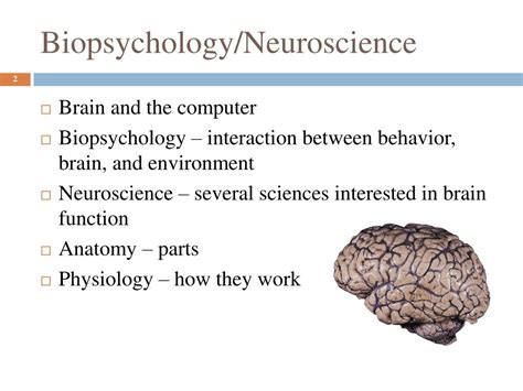 Is biopsychology a neuroscience?