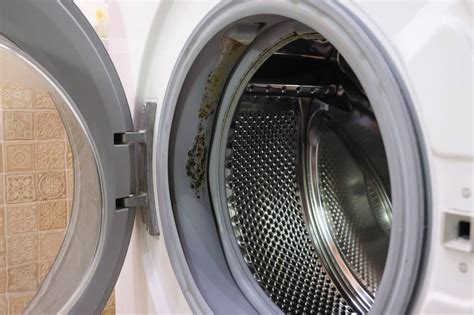 Is black mold in washing machine toxic?
