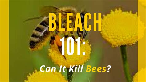 Is bleach harmful to bees?