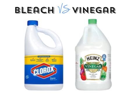 Is bleach or vinegar better for drains?