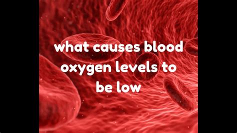Is blood in veins low in oxygen?
