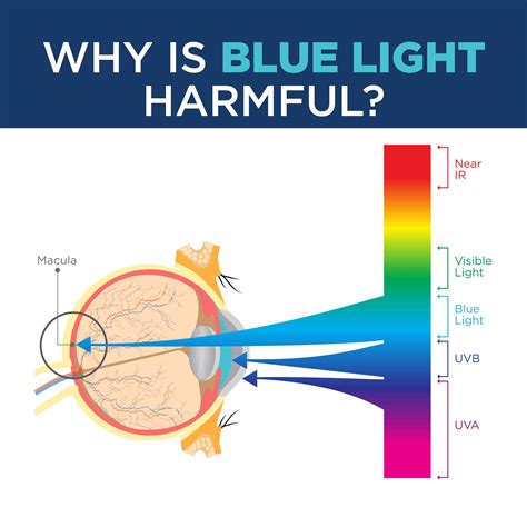 Is blue light filter bad for your eyes?