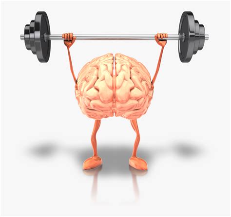 Is bodybuilding good for brain?