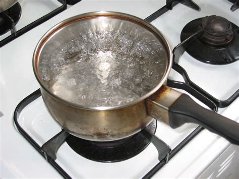 Is boiling water enough to purify it?