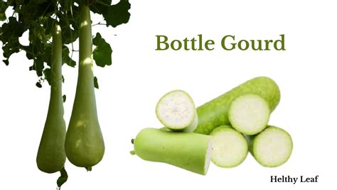 Is bottle gourd seeds good for health?