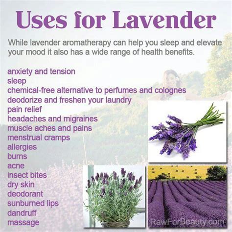 Is breathing lavender healthy?