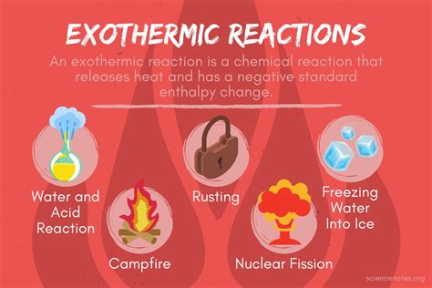 Is burning wood endothermic or exothermic?