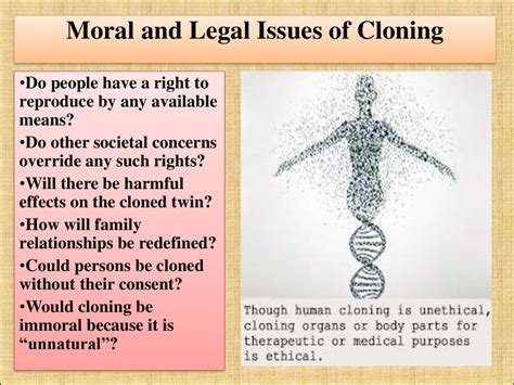 Is business cloning legal?