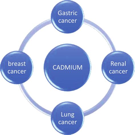 Is cadmium a carcinogen?