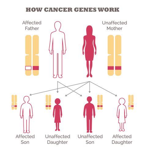 Is cancer is Genetic?