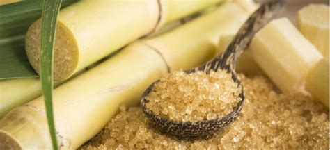 Is cane sugar 100% fermentable?