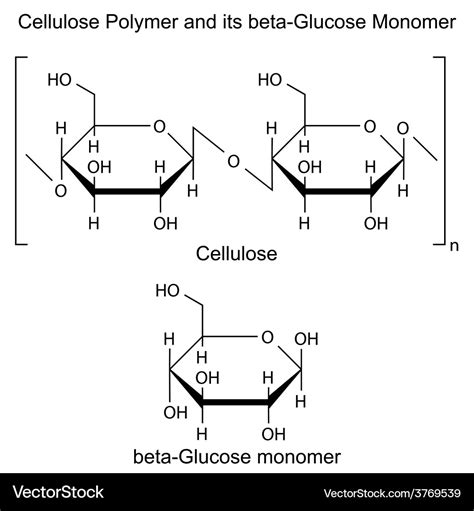 Is cellulose a monomer?