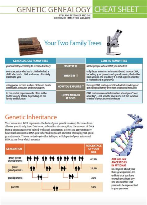 Is cheating in DNA?