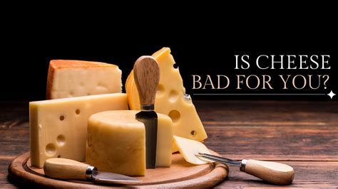 Is cheese bad for labs?