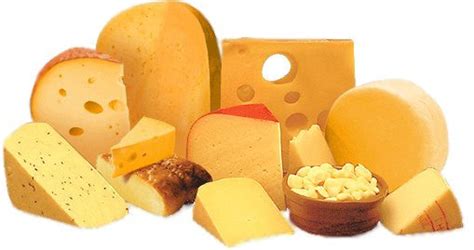 Is cheese good for gout?