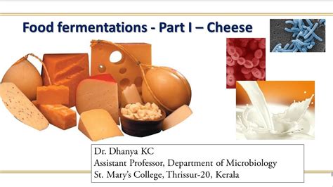 Is cheese made by fermentation?