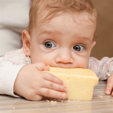 Is cheese too salty for babies?