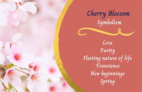 Is cherry blossom a symbol of love?
