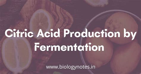 Is citric acid OK for fermentation?