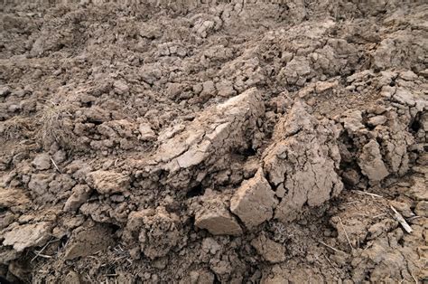 Is clay soil heavy?