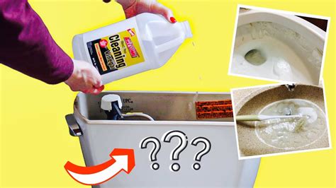 Is cleaning with vinegar sanitary?