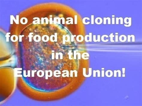 Is cloning banned in Europe?