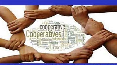 Is co-op short for cooperation?