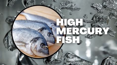 Is cod high in mercury?