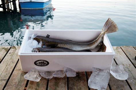 Is cod popular in Norway?