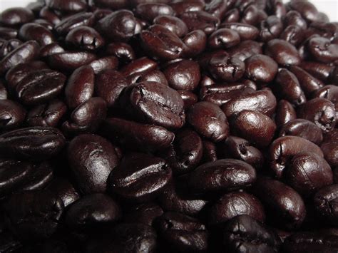 Is coffee from a bean?