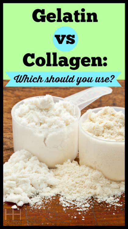 Is collagen just gelatin?