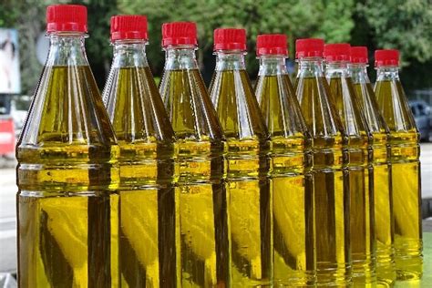 Is cooking oil biodegradable?