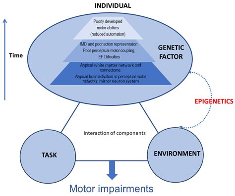 Is coordination learned or genetic?