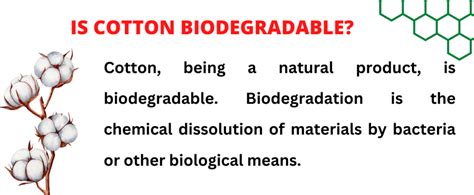 Is cotton a biodegradable?